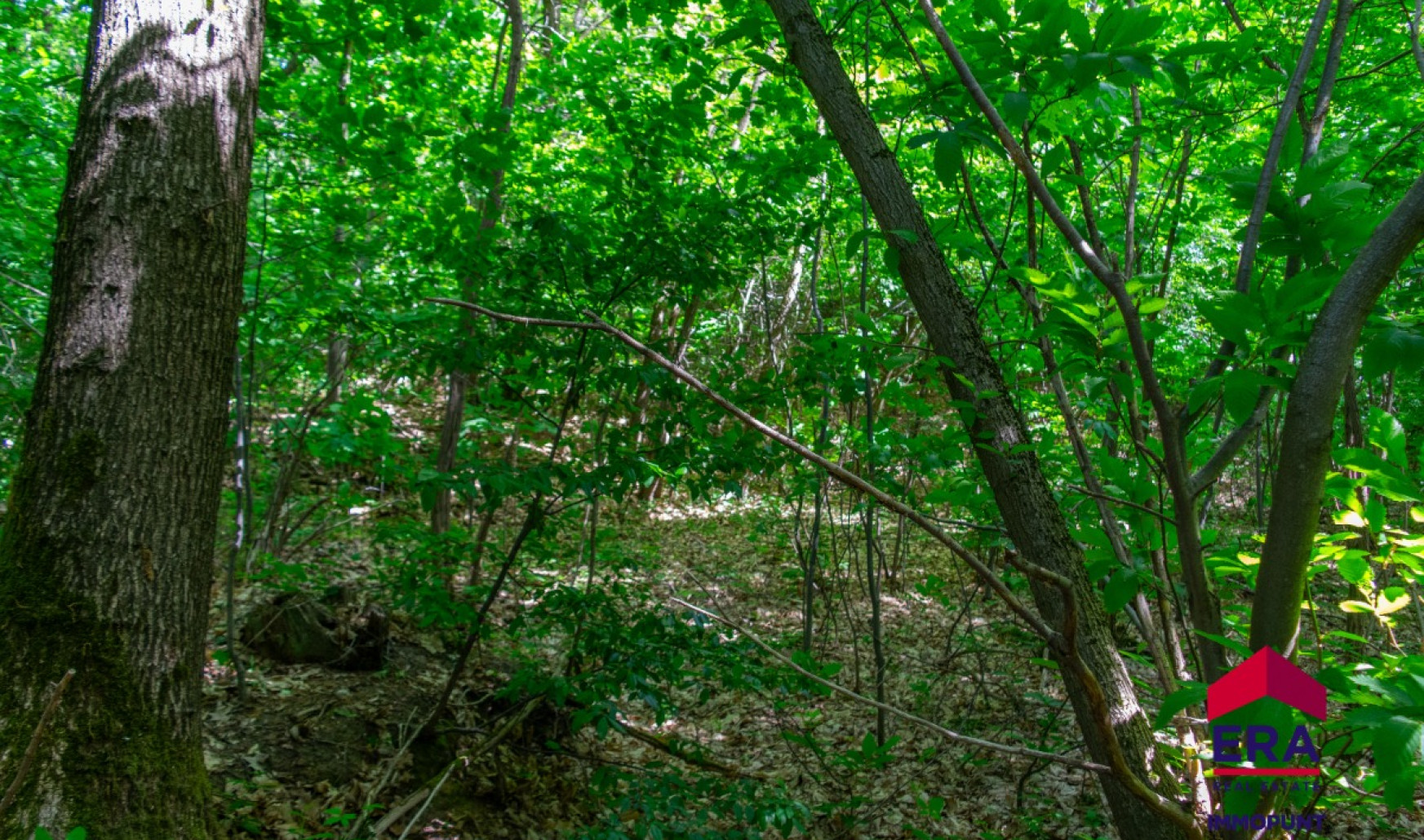 Haksbergstraat - RV 53 - - 3390