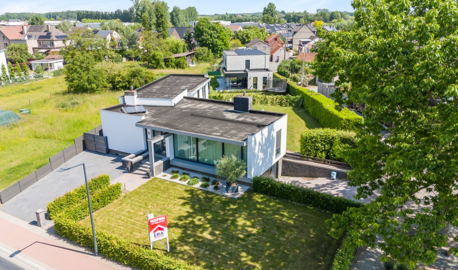 Ringlaan - 175 - - 1745