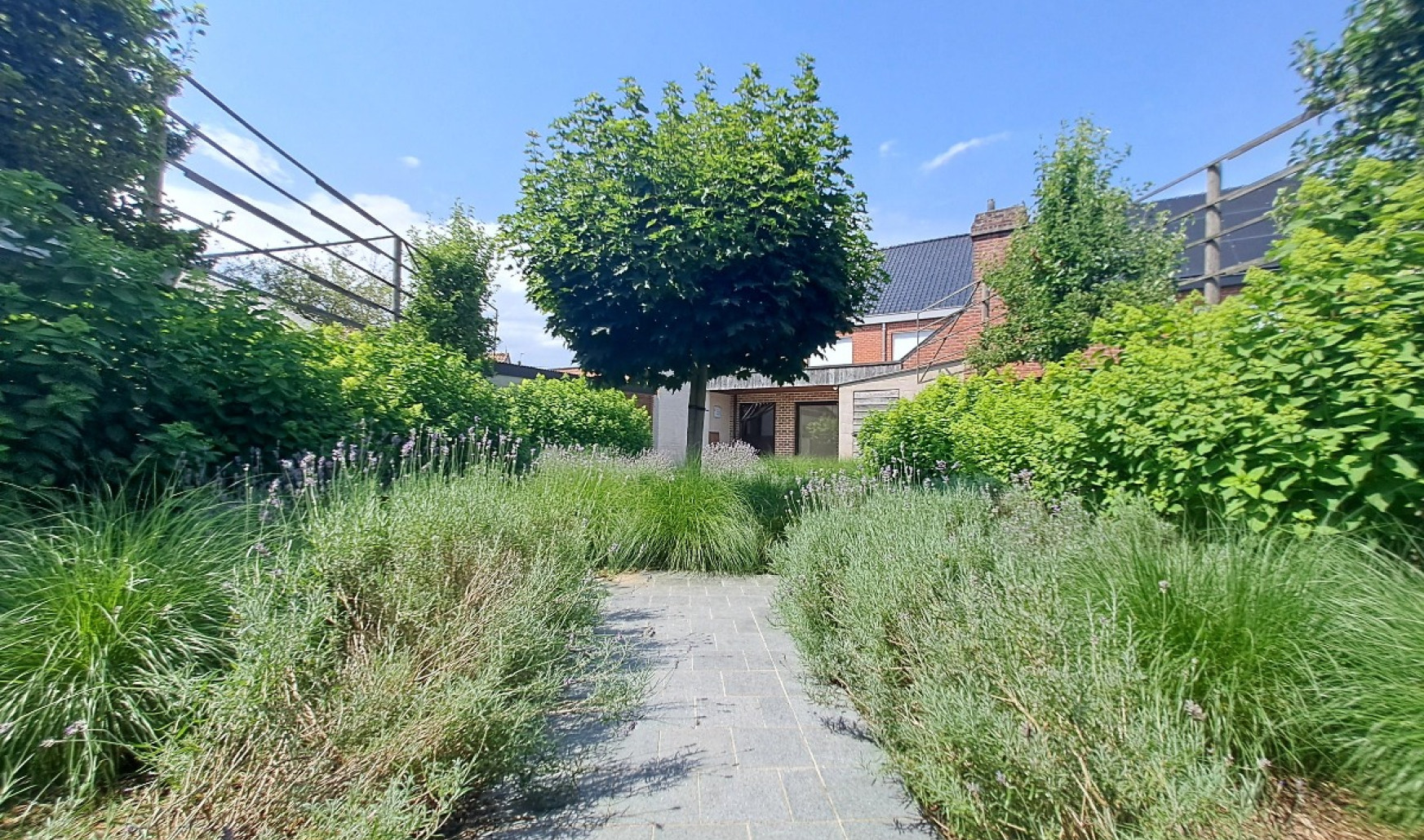 Otegemse Steenweg - 124 - - 8540