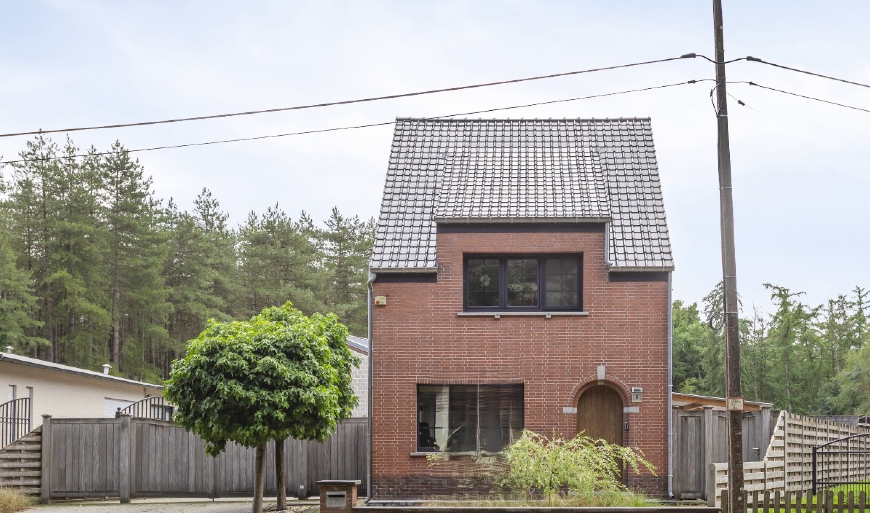 Sassenhout - 6 - - 2290