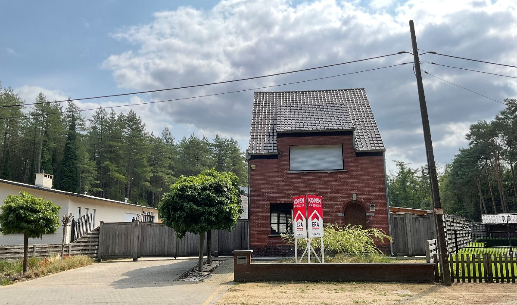 Sassenhout - 6 - - 2290