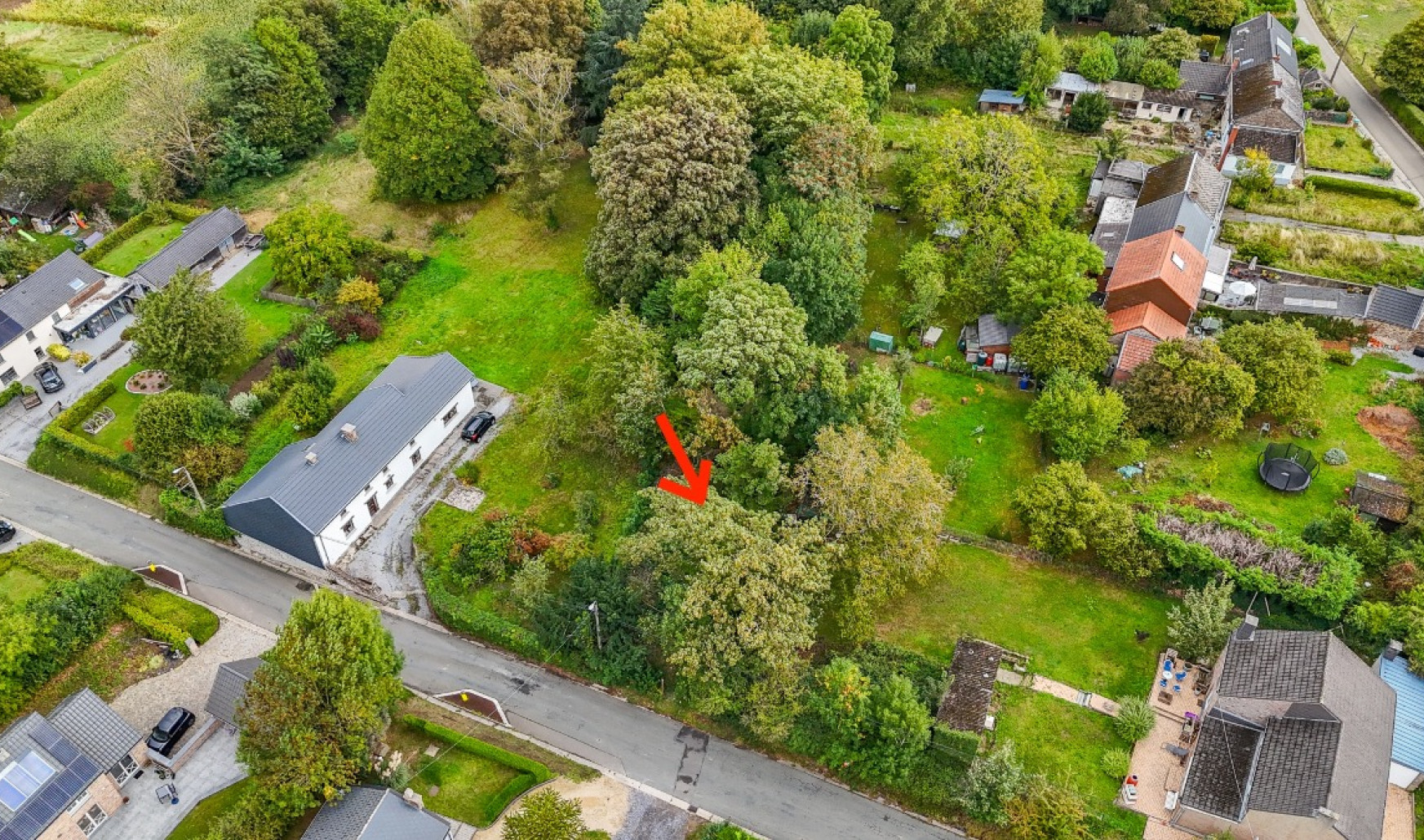 Rue Moray - 13T - - 4218