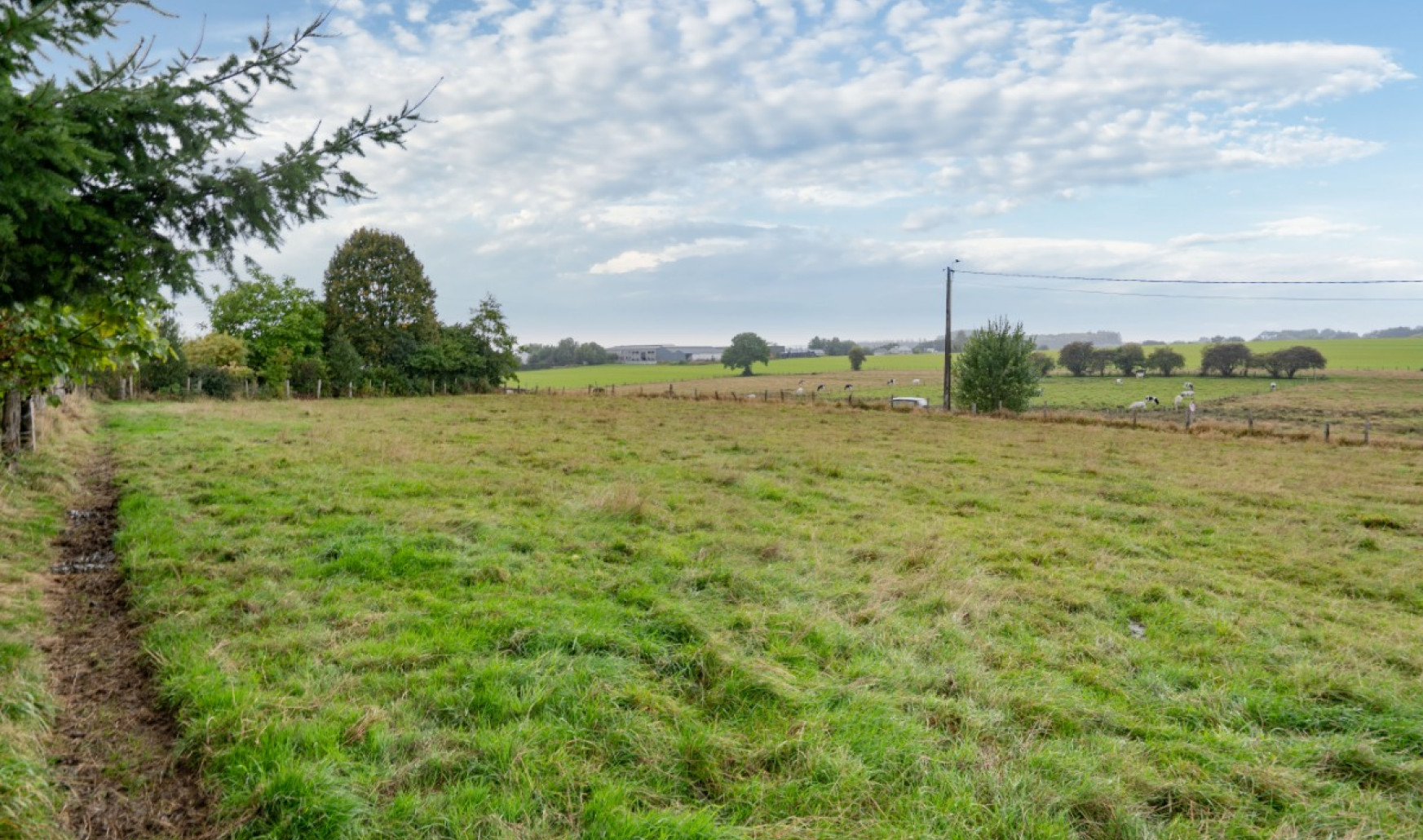 Rue de Solmon - LOT 7 - - 6850