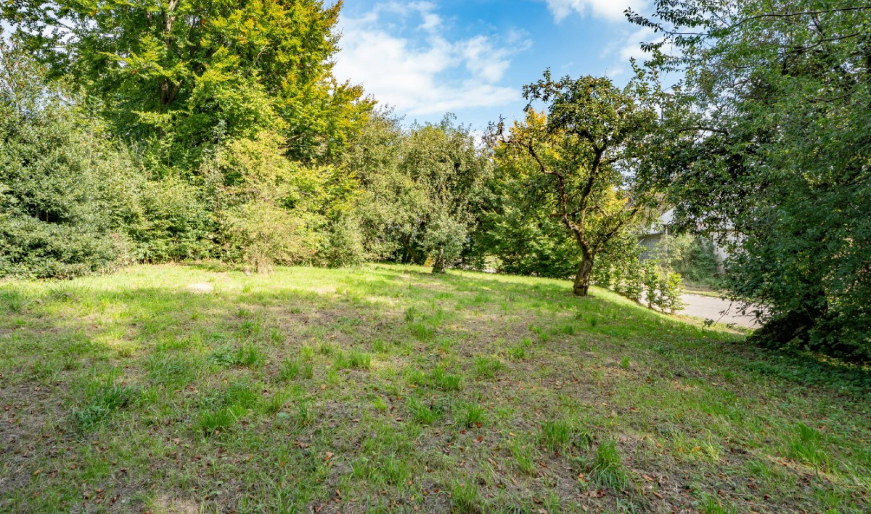 Saint Antoine - 10 - - 6640