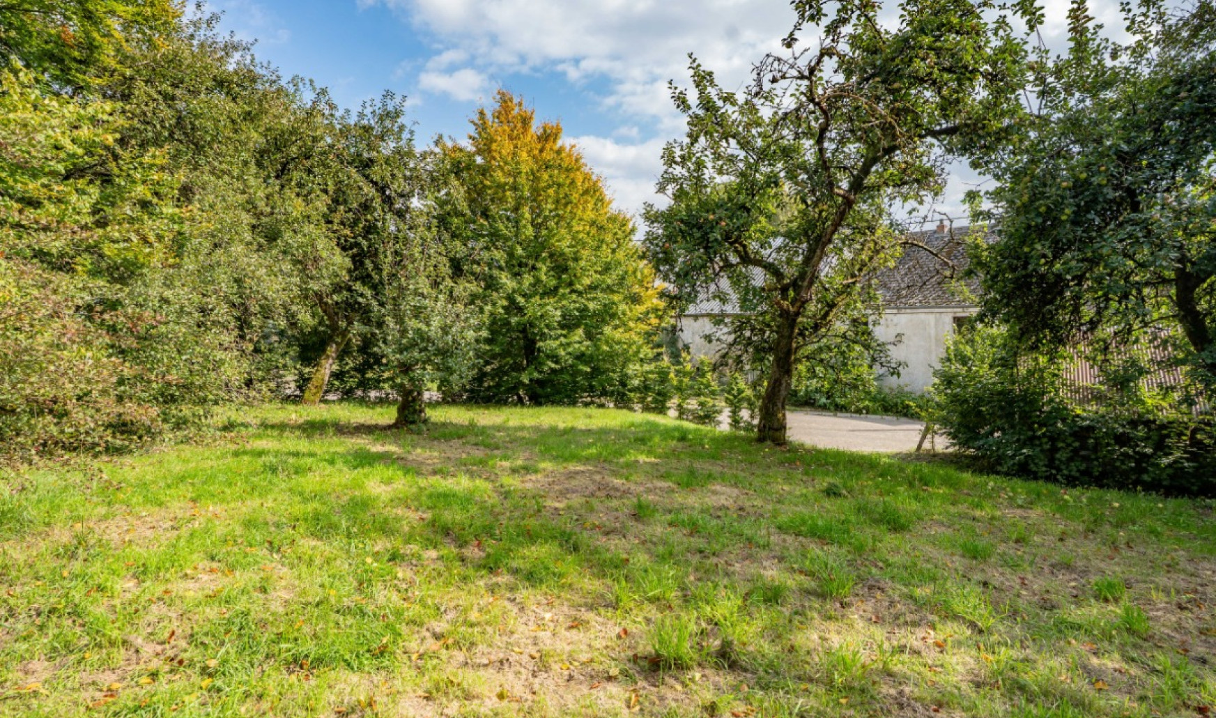 Saint Antoine - 10 - - 6640