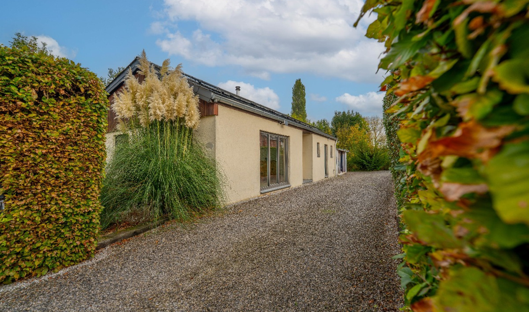 Rue des Marais - 59 - - 1360