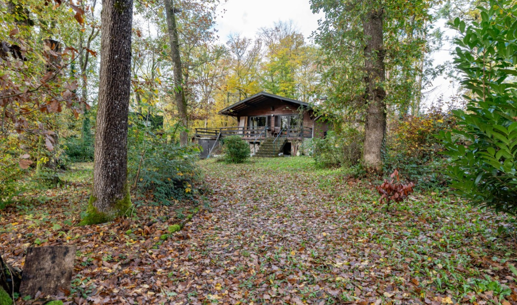 Chemin des Bouleaux - 170 - - 5377