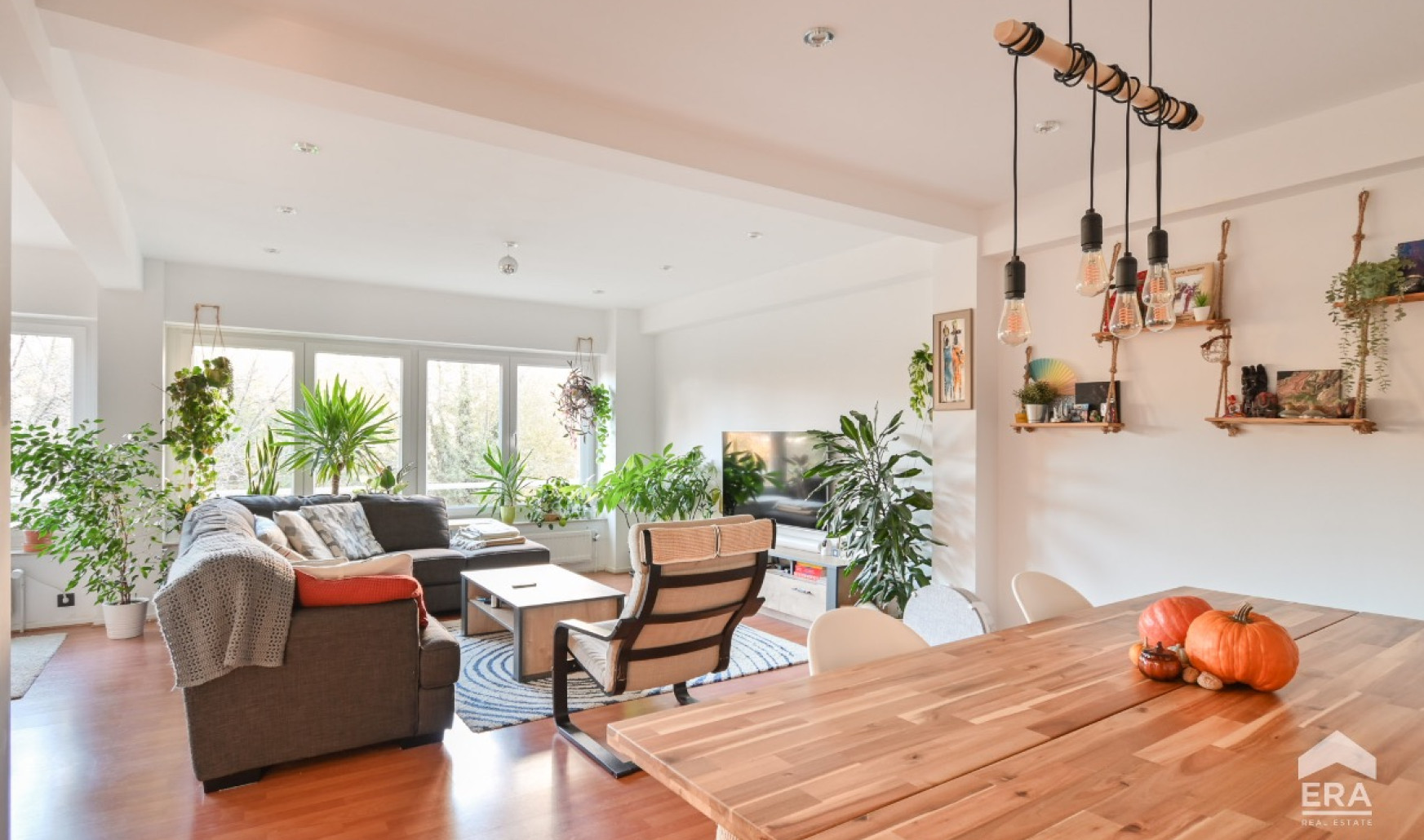 Avenue de la Basilique - 363 - - 1081