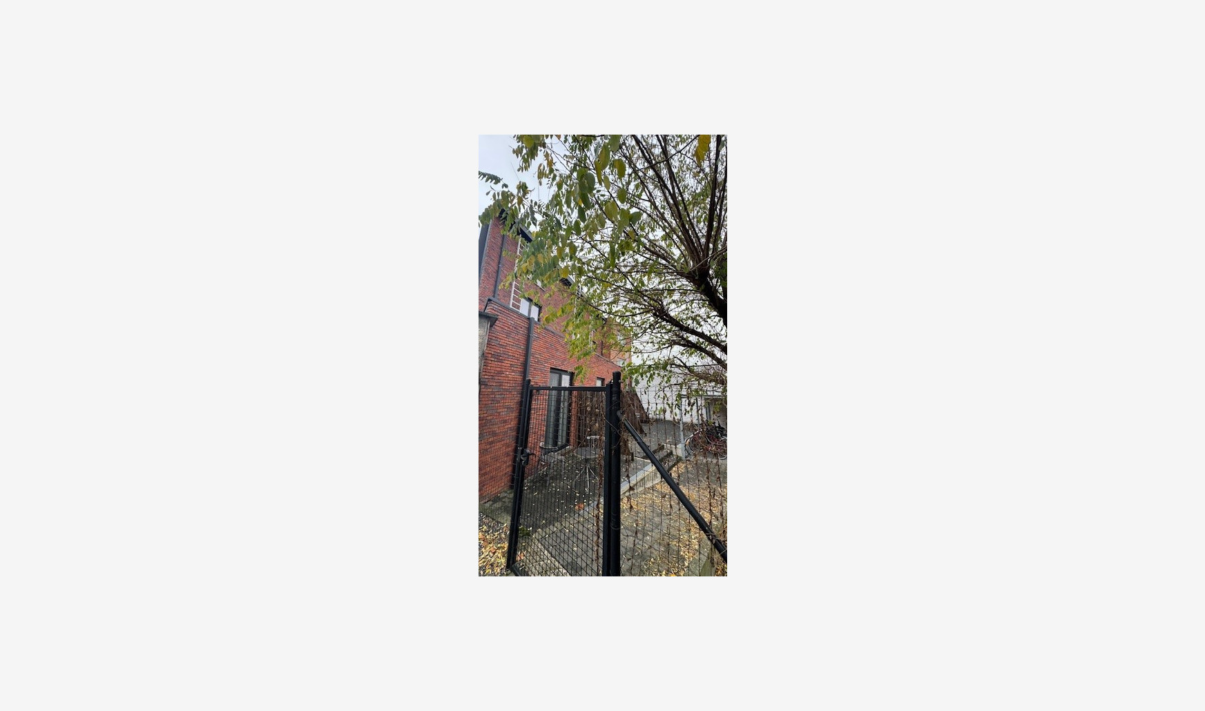 Kapucijnenvoer - 205 - 302 - 3000