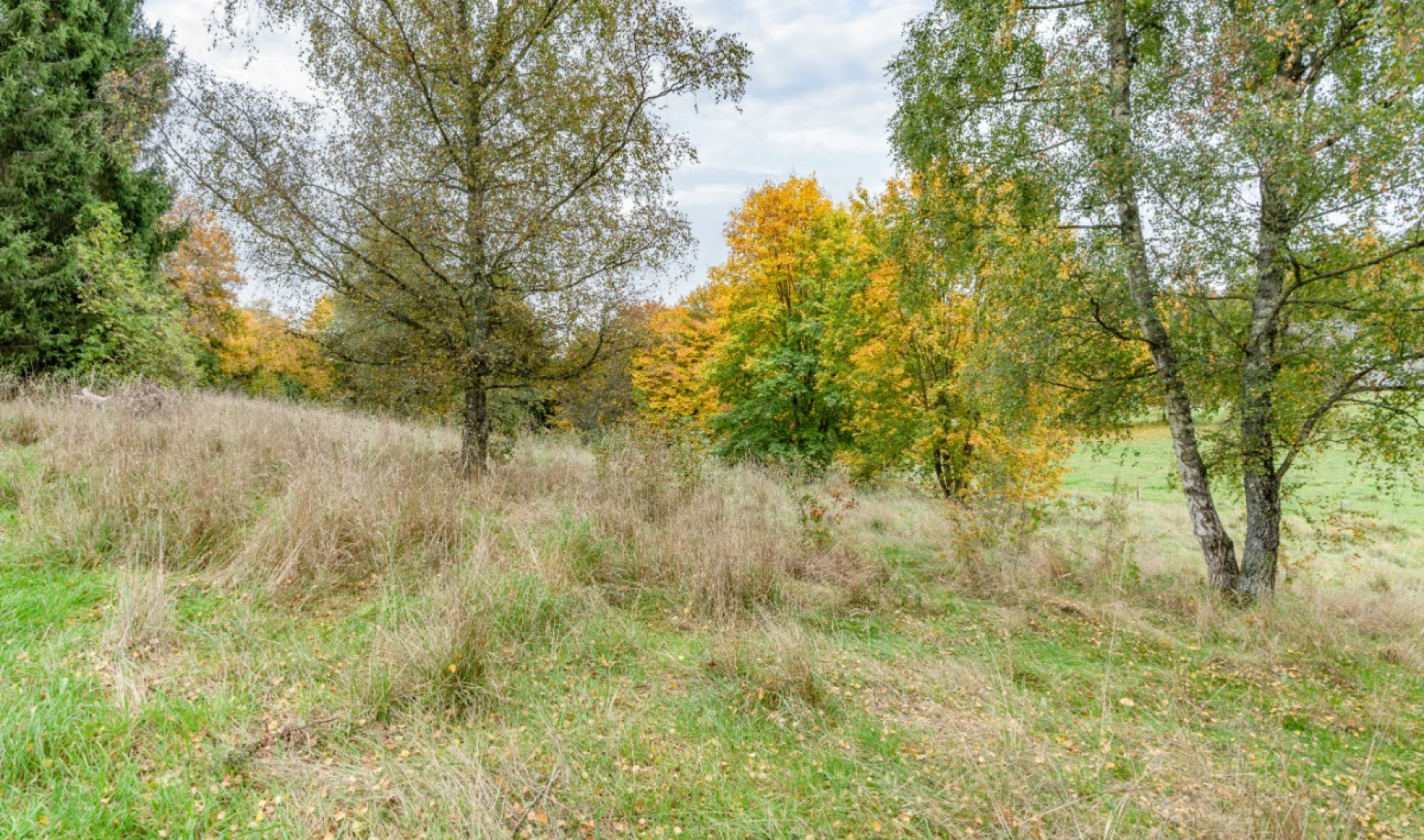 Rue du Colonel Mallegol - LOT 1 - - 6852