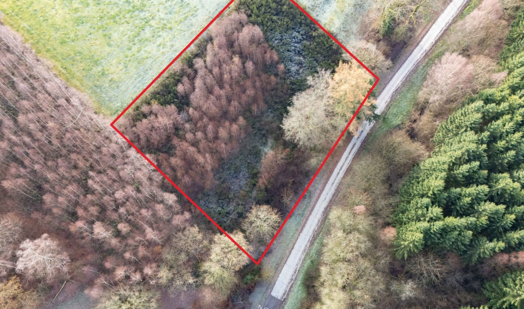 Rue du Mont - 0 - - 6887