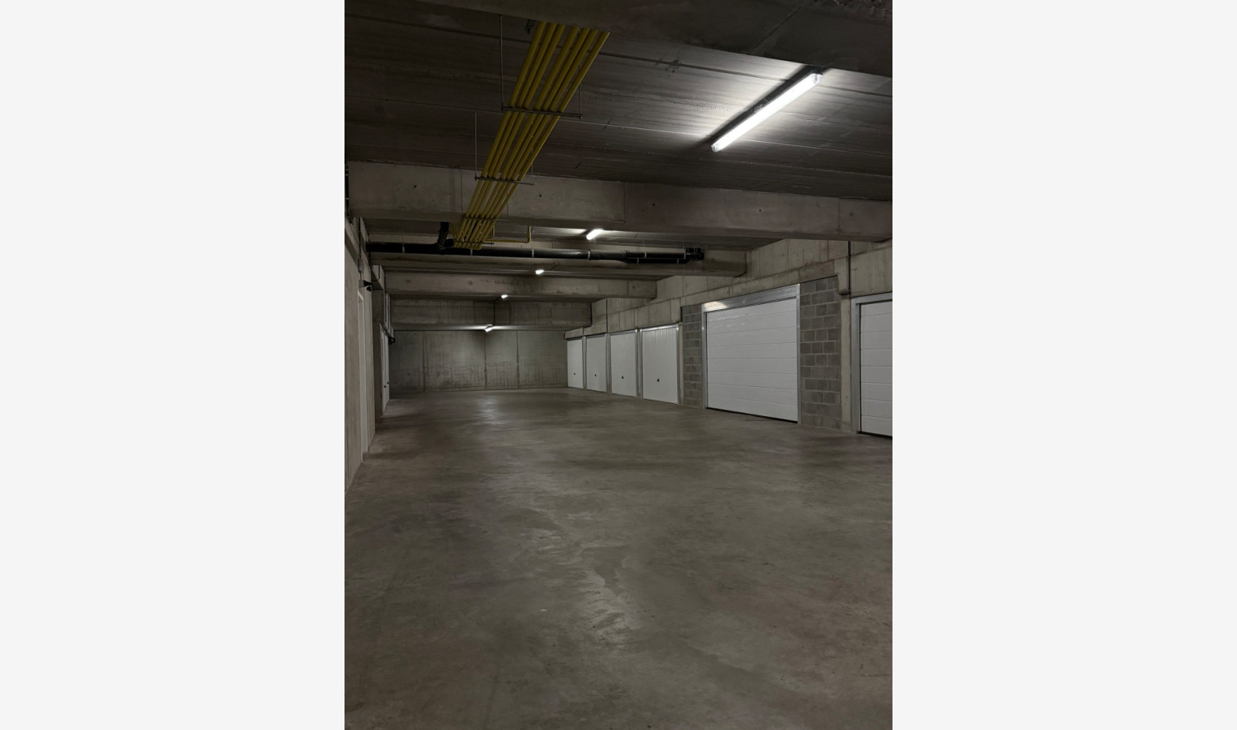 Wilgenpad - 1 - G17 - 8660