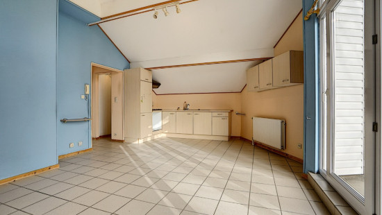 Rue de la Forêt - 66 - - 6970