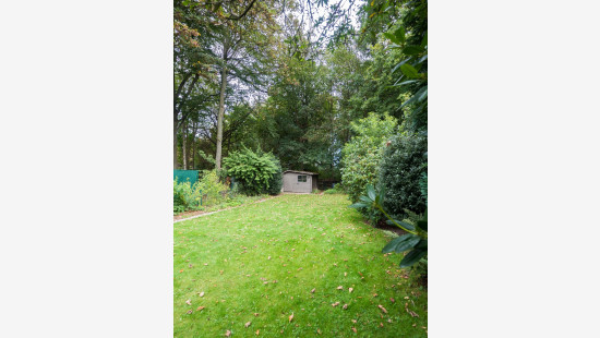 Binnensteenweg - 167 - - 2530