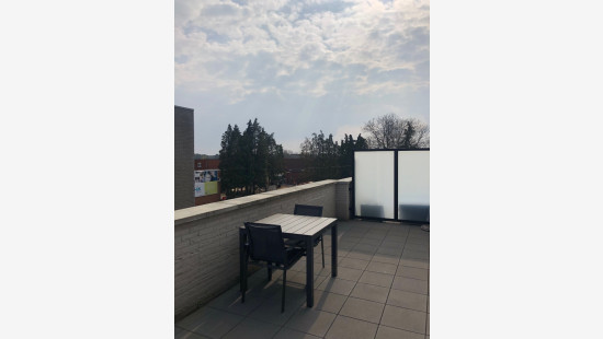 Achterbos - 64 - 202 - 2400