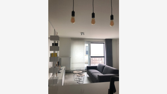 Achterbos - 64 - 202 - 2400