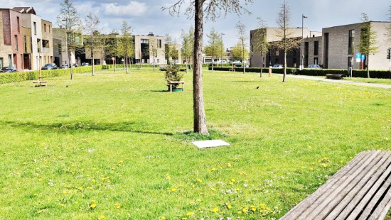 Monseigneur Schruerslaan - 14 - 0.1 - 3500