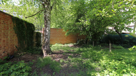 Deken de Winterstraat - 5 - - 2600