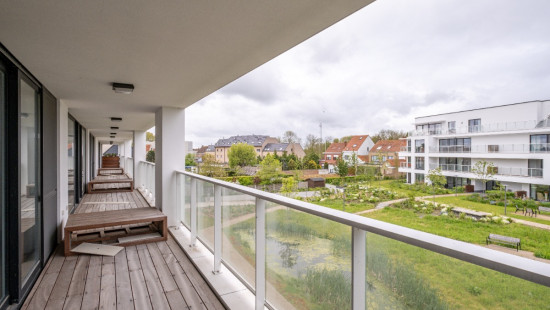 Zuidburgweg - 48 - 0205 - 8630