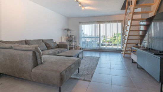 Gentsesteenweg - 238 - 5 - 9240