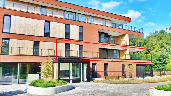 Dokter Vanderhoeydonckstraat - 50 - 1.04 - 3560