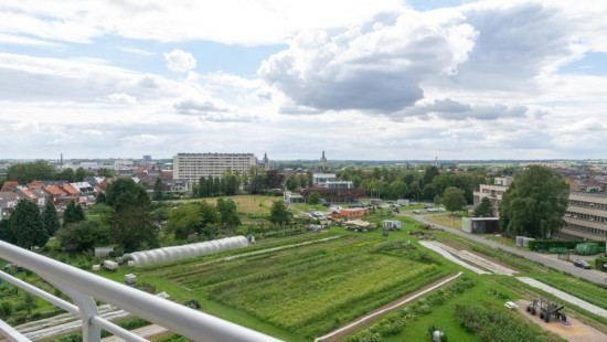 Windmolenveld - 13 - - 3300