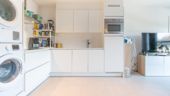 Dorp - 41 - bus 201 - 9290