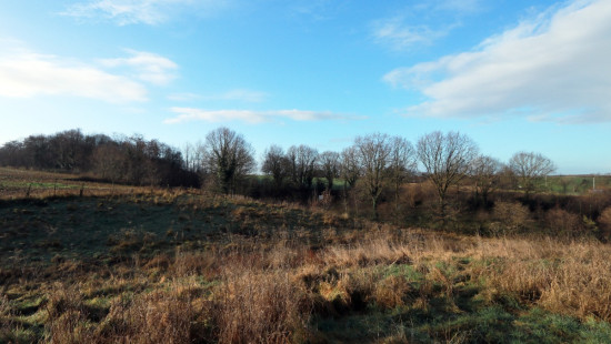 Diestsesteenweg - Papenbos - - 3390