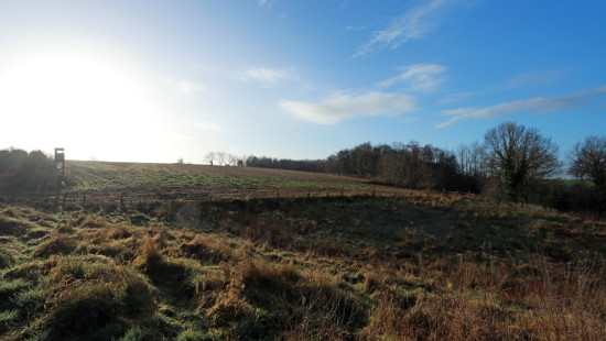 Diestsesteenweg - Papenbos - - 3390