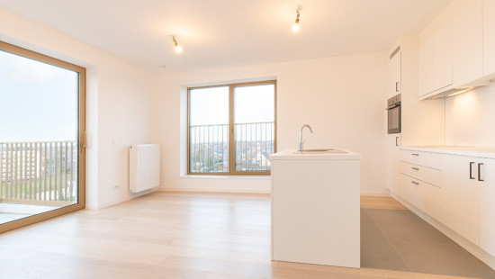 Hoedhaarstraat - 25 - A602 - 9160