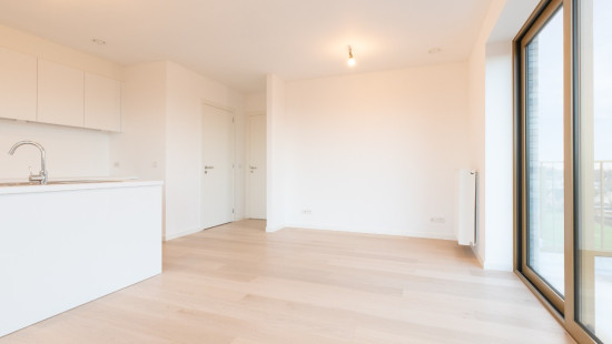 Hoedhaarstraat - 25 - A602 - 9160