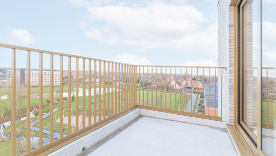 Hoedhaarstraat - 25 - A602 - 9160