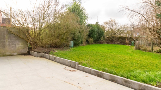 Wilgenstraat - 17 - - 3300