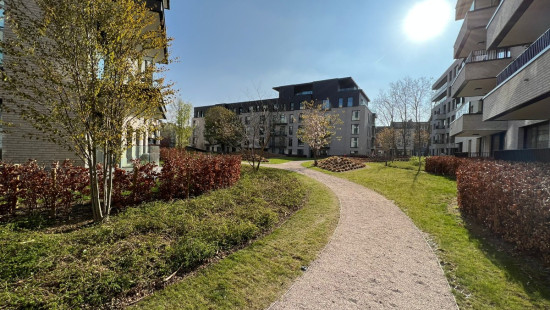 Rue de l'Arbre Bénit - 5 - 2 - 1050