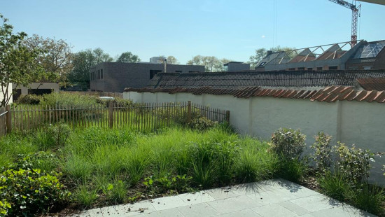 Pannestraat - 58 - 0002 - 8630