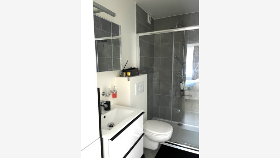 Peter Benoitstraat - 22 - 04 - 3500