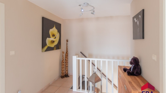 Tingelhoek - 17 - - 9961