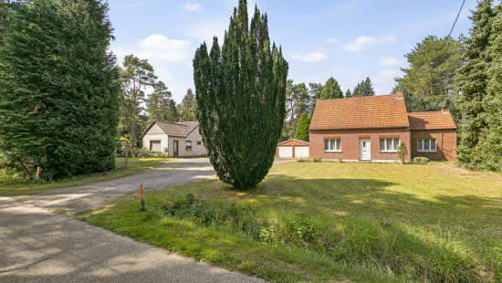 Hertbreemstraat - 18 - - 3201