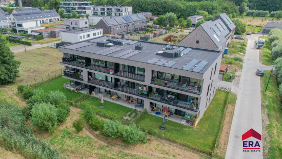 Katoenstraat - 7 - B 0202 - 9900
