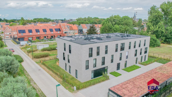 Katoenstraat - 7 - B 0202 - 9900
