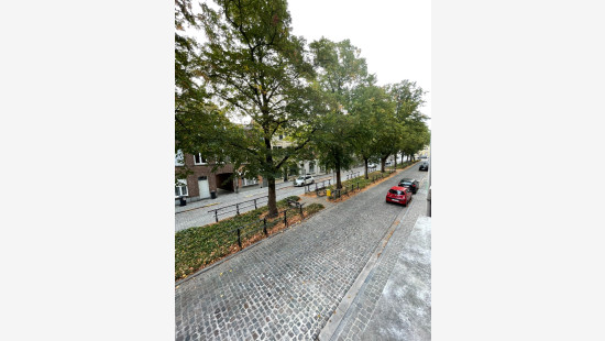 Veemarkt - 29 - - 8900