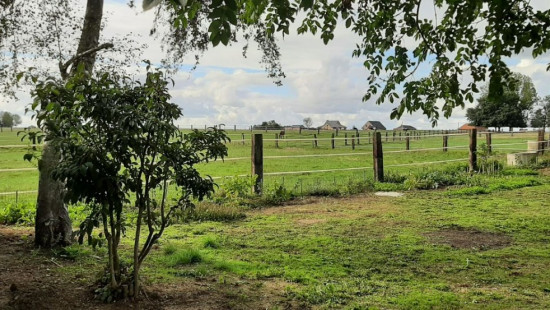 Millesteenstraat - 102 - - 8890