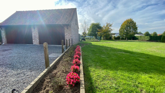 Papegaaistraat - 33 - - 8790