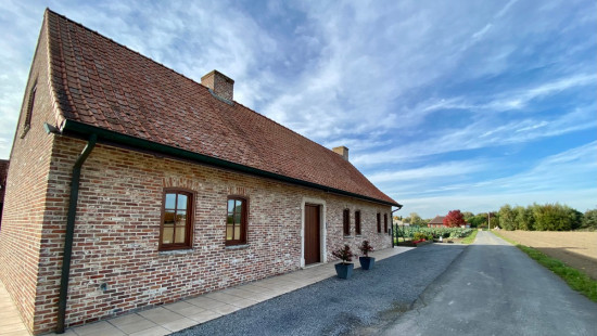 Papegaaistraat - 33 - - 8790