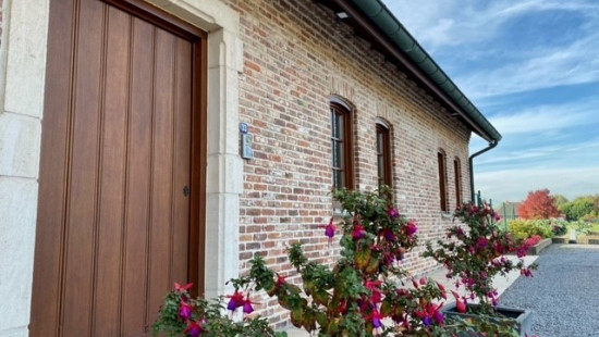 Papegaaistraat - 33 - - 8790