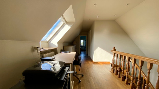 Papegaaistraat - 33 - - 8790