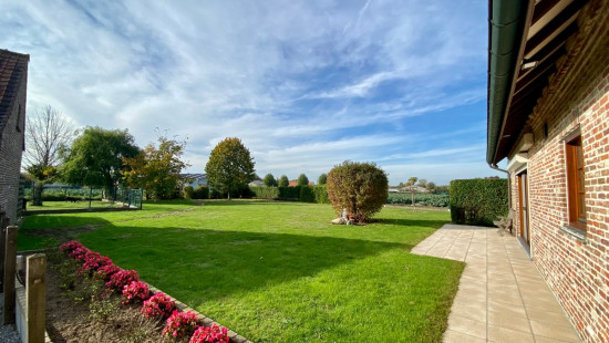 Papegaaistraat - 33 - - 8790