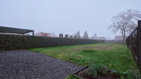 Hasseltstraat - 14 - - 3990