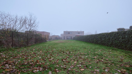 Hasseltstraat - 14 - - 3990
