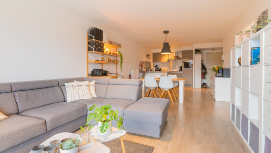 Clement Rottiersstraat - 42 - Bus 13 - 9220